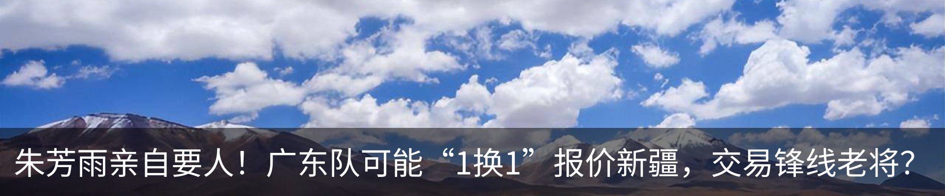 新闻动态